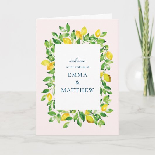 Waterverf Lemon Mediterranean Folded Programma (Voorkant)