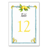 Waterverf  Lemons Bindingnummers Kaart (Achterkant)