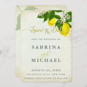  Waterverf Lemons sparen de Datum Save The Date (Voorkant / Achterkant)