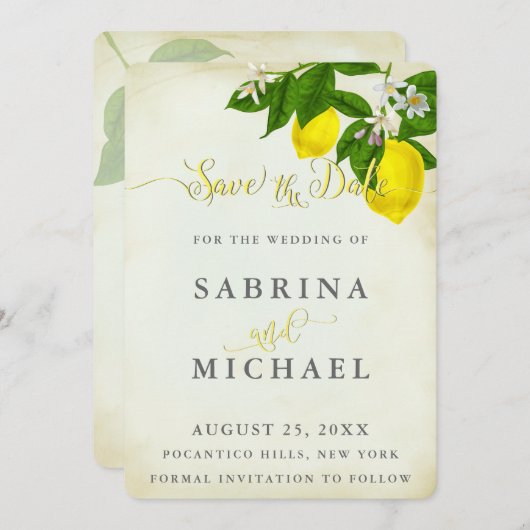  Waterverf Lemons sparen de Datum Save The Date (Voorkant / Achterkant)