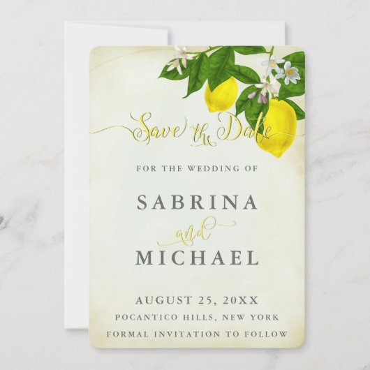  Waterverf Lemons sparen de Datum Save The Date (Voorkant)