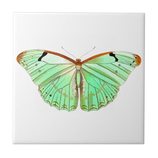 Waterverf lente vlinder tegeltje (Voorkant)