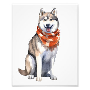 Waterverf Leuke Siberische Husky Dog Foto Afdruk