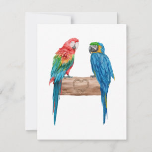 Waterverf Macaw Bird Parrot Lover