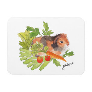 Waterverf Magnet van cavia Pig Leek Carrot Salad Magneet
