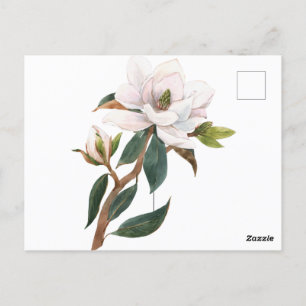waterverf magnolibloem briefkaart