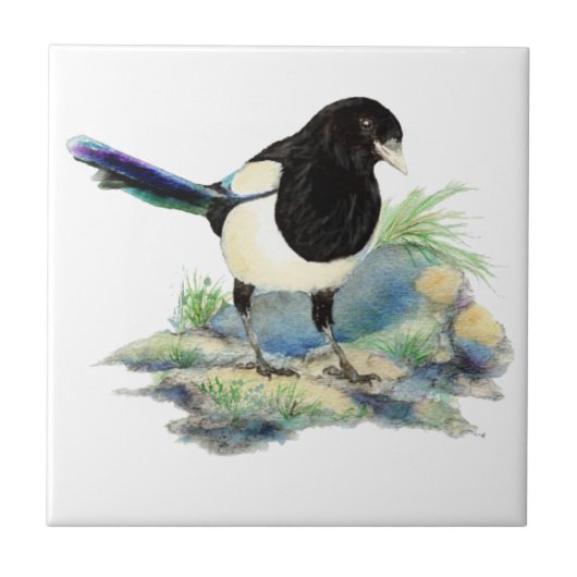 Waterverf Magpie Bird Wildlife Art Tegeltje (Voorkant)