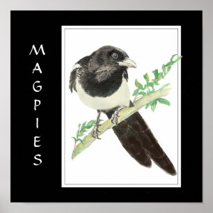 Waterverf Magpie in Bird, Animal Collectie Poster