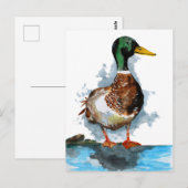 Waterverf Mallard Duck Briefkaart (Voorkant / Achterkant)