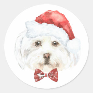Waterverf Maltees in Santa Hat Kerst Ronde Sticker