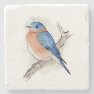 Waterverf Man Bluebird Stone Onderzetter