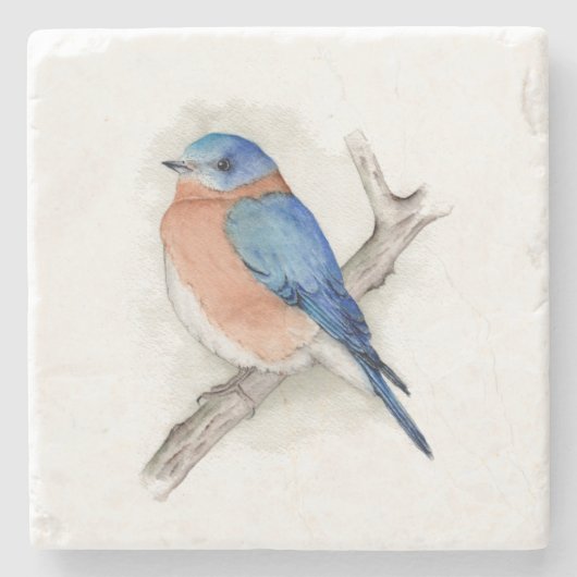 Waterverf Man Bluebird Stone Onderzetter (Voorkant)