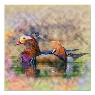 Waterverf Mandarin Ducks Feng Shui Symbol Perfect Poster