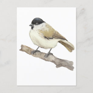 Waterverf Marsh Tit Feestdagenkaart