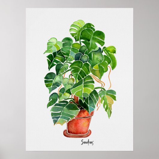 Waterverf Monstera Plant in pot Poster (Voorkant)