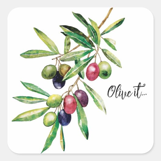 Waterverf Olive Branch Vierkante Sticker (Voorkant)