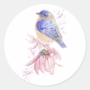 Waterverf Oostelijke Bluebird Blue Bird Art Ronde Sticker