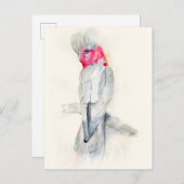 Waterverf Opera Cockato Briefkaart (Voorkant / Achterkant)