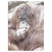 Waterverf Orang 2 Klembord (Achterkant)