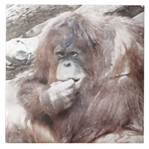 Waterverf Orang 2 Tegeltje