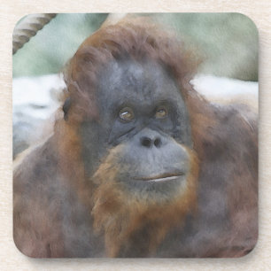 Waterverf Orang Bier Onderzetter