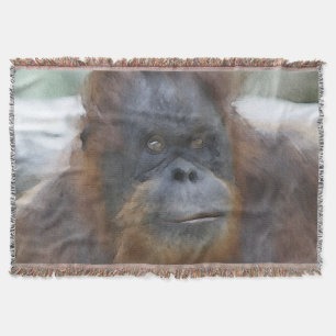 Waterverf Orang Deken