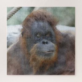 Waterverf Orang Legpuzzel