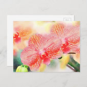 Waterverf Orchideeën Briefkaart (Voorkant / Achterkant)
