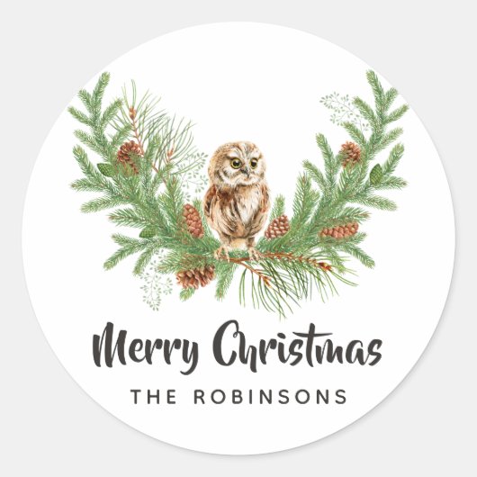 Waterverf Owl Kerstmis Ronde Sticker (Voorkant)