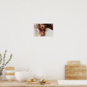 Waterverf PaardenPoster Poster (Keuken)