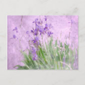 Waterverf Paarse Irises - Briefkaart (Voorkant)