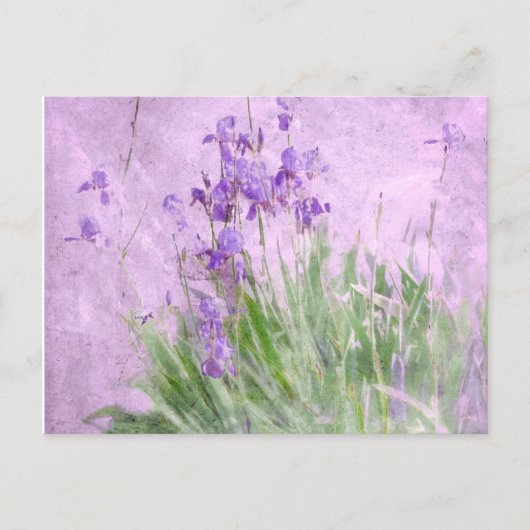 Waterverf Paarse Irises - Briefkaart (Voorkant)
