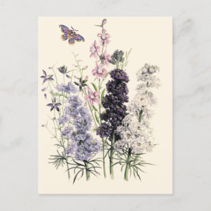 Waterverf Paarse, roze tuinbloemen, vlinder Briefkaart