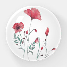 Waterverf papaver