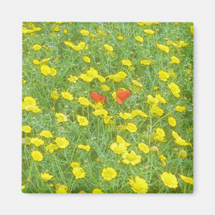 Waterverf papaver magneet