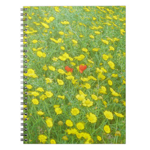 Waterverf papaver notitieboek