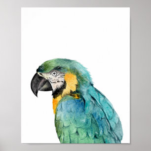 Waterverf Papegaai Vogel Blauwe Goud Ara  Poster