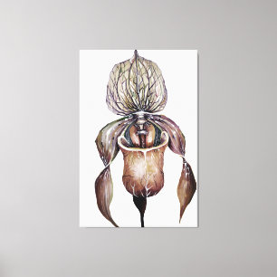 Waterverf Paphiopedilum Orchid in levendige kleure Canvas Afdruk