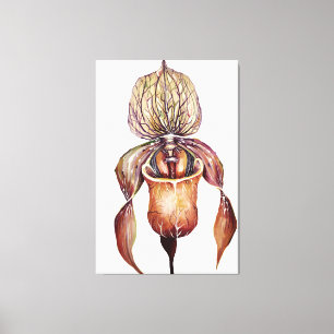 Waterverf Paphiopedilum Orchid in levendige kleure Canvas Afdruk