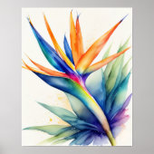 Waterverf Paradijsvogel 4:5 Poster (Voorkant)