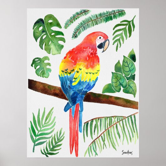 Waterverf Parrot Poster (Voorkant)