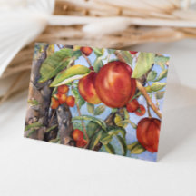 Waterverf peach Tree Orchard Fruit Harvest