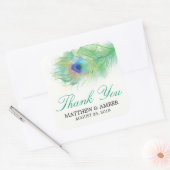 Waterverf Peacock Feather Stickers (Envelop)