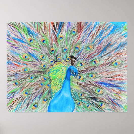 Waterverf Peacock Painting Poster (Voorkant)