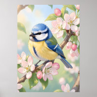 Waterverf Pimpelmees op appelboom lente