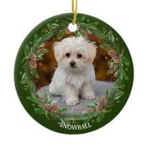 Waterverf Pinecone Wreath Pet Foto