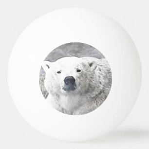 Waterverf Polar Beer Pingpongballen