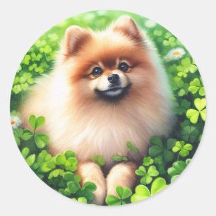 Waterverf Pommerse groene Shamrock veld Ronde Sticker