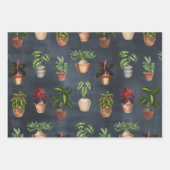 Waterverf Potentiële Planten Terracotta Pots Rusti Inpakpapier Vel (Voorkant 3)