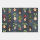 Waterverf Potentiële Planten Terracotta Pots Rusti Inpakpapier Vel (Voorkant)